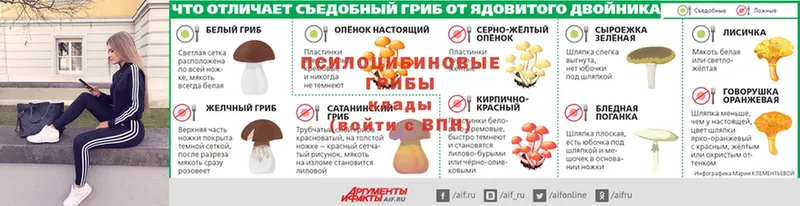 Галлюциногенные грибы мухоморы  Верхняя Салда 